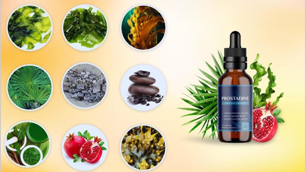 prostadine ingredients